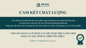 Vilata cam kết chất lượng